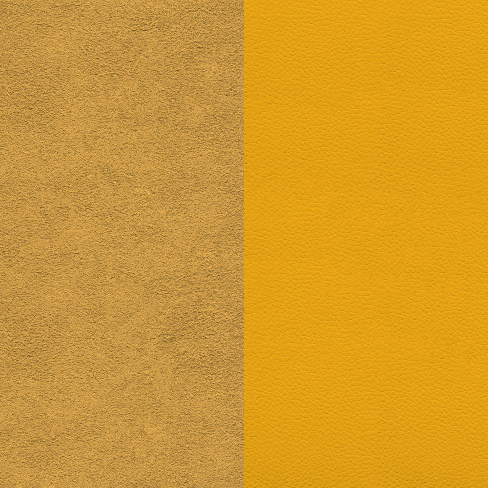 Amarillo Dupsa Metanilo Concentrado, portada provisional para: Amarillo Dupsa Metanilo concentrado: identificar antes de cotizar