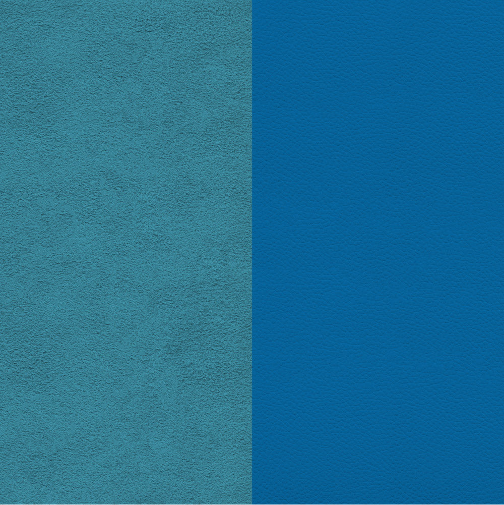 Química Dupsa Colorantes para Cuero