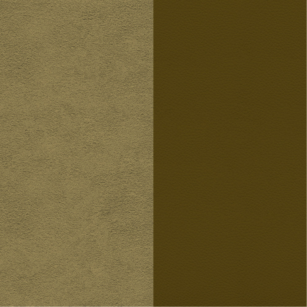 Química Dupsa Colorantes para Cuero