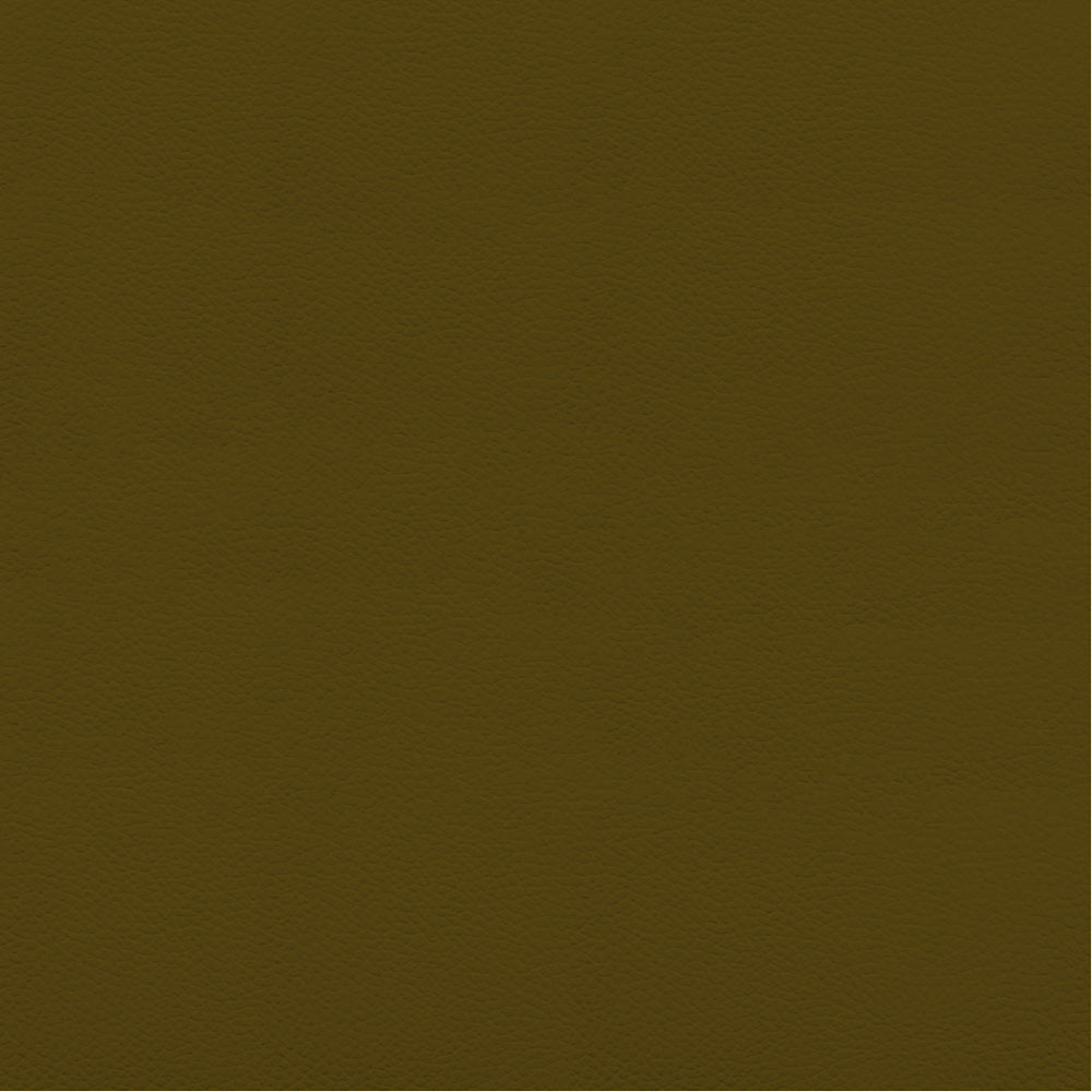 Química Dupsa Colorantes para Cuero