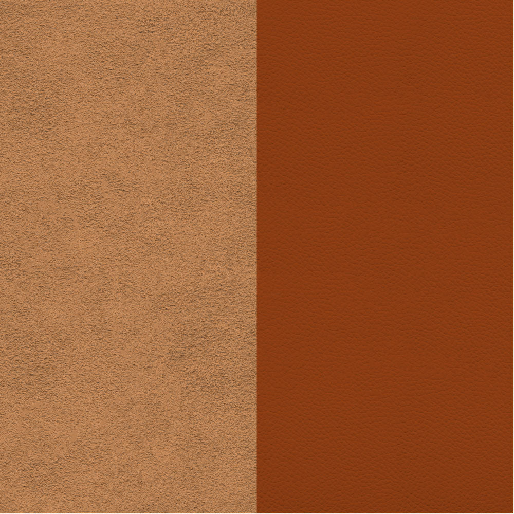 Química Dupsa Colorantes para Cuero