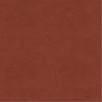 Química Dupsa Colorantes para Cuero