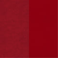 Química Dupsa Colorantes para Cuero