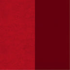 Química Dupsa Colorantes para Cuero