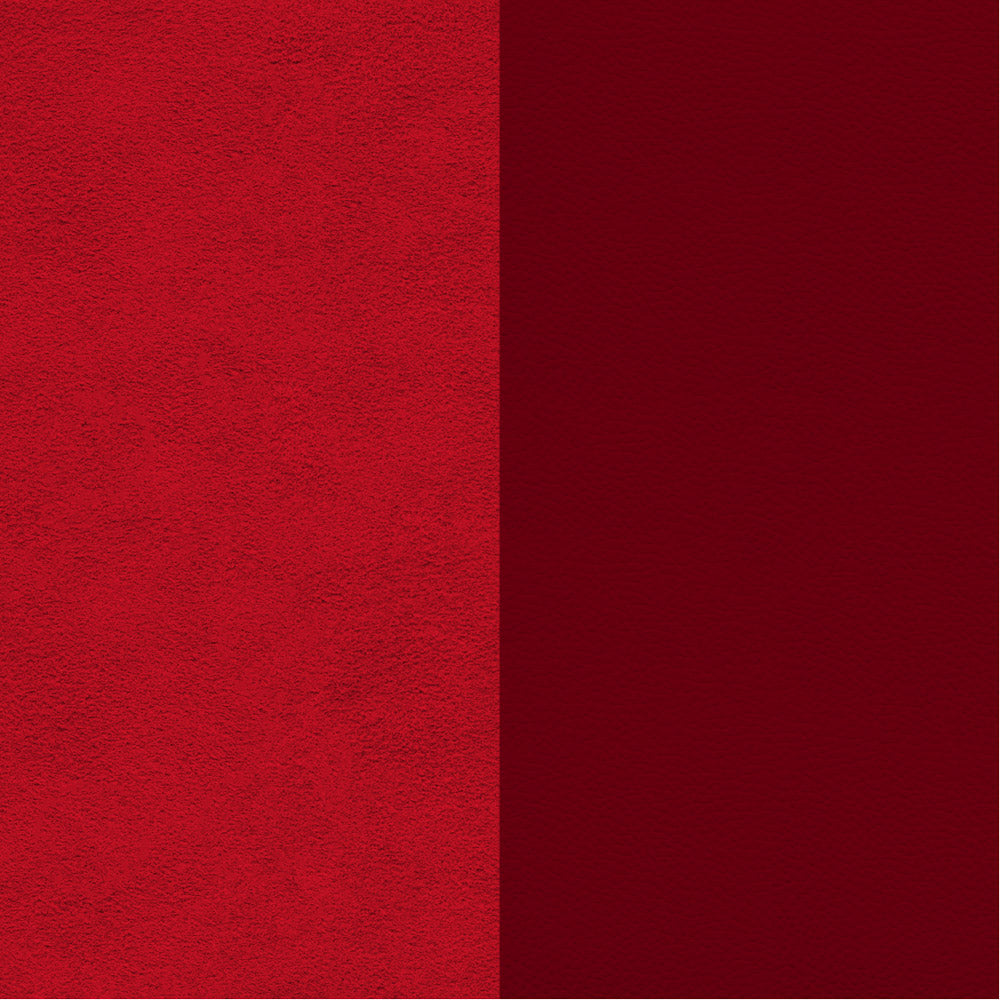 Química Dupsa Colorantes para Cuero