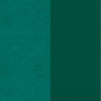 Química Dupsa Colorantes para Cuero