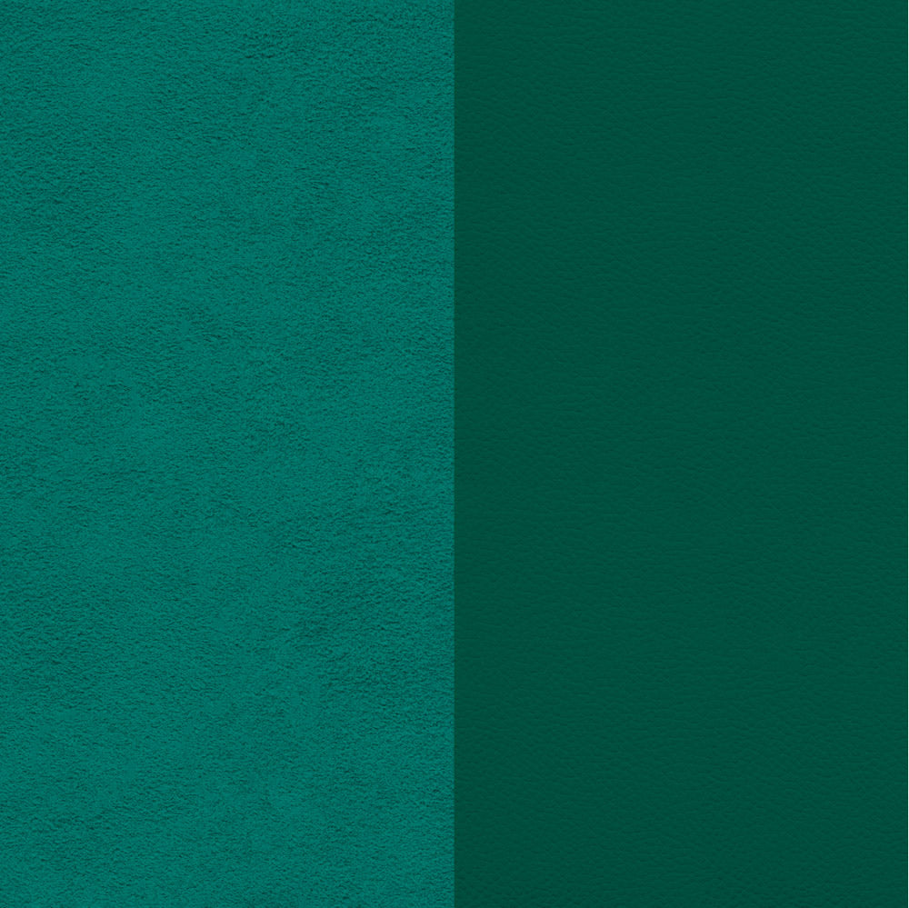 Química Dupsa Colorantes para Cuero