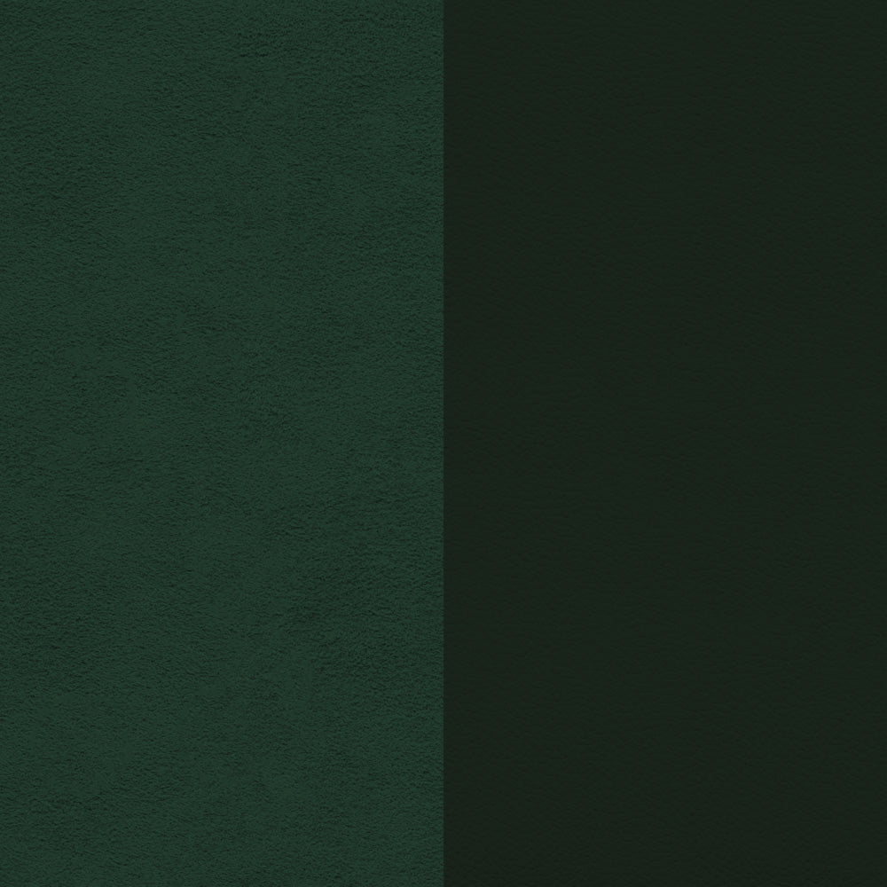 118-Verde-Dupsa-BN-01