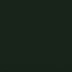 118-Verde-Dupsa-BN-03