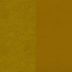 121-Amarillo-Dupsa-HS-01