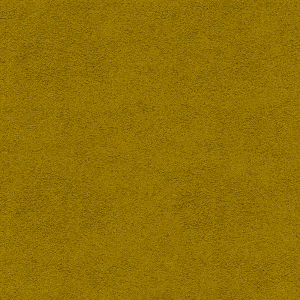 121-Amarillo-Dupsa-HS-02