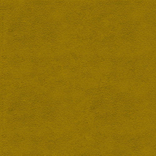 121-Amarillo-Dupsa-HS-02