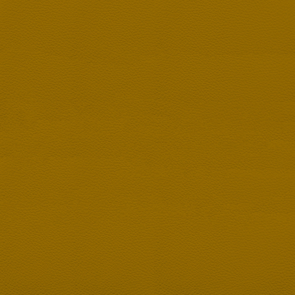 121-Amarillo-Dupsa-HS-03