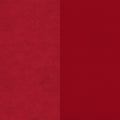 122-Rojo-Dupsa-DH-01