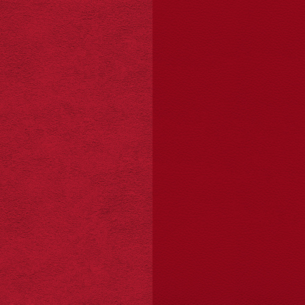 122-Rojo-Dupsa-DH-01