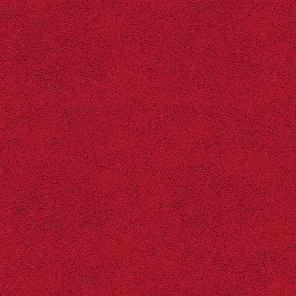 122-Rojo-Dupsa-DH-02