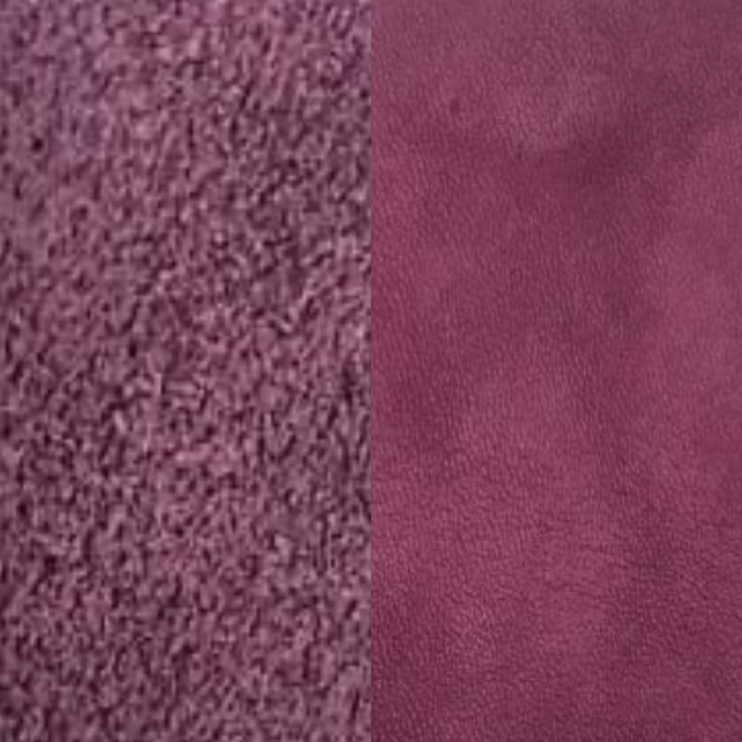 Magenta Dupsa