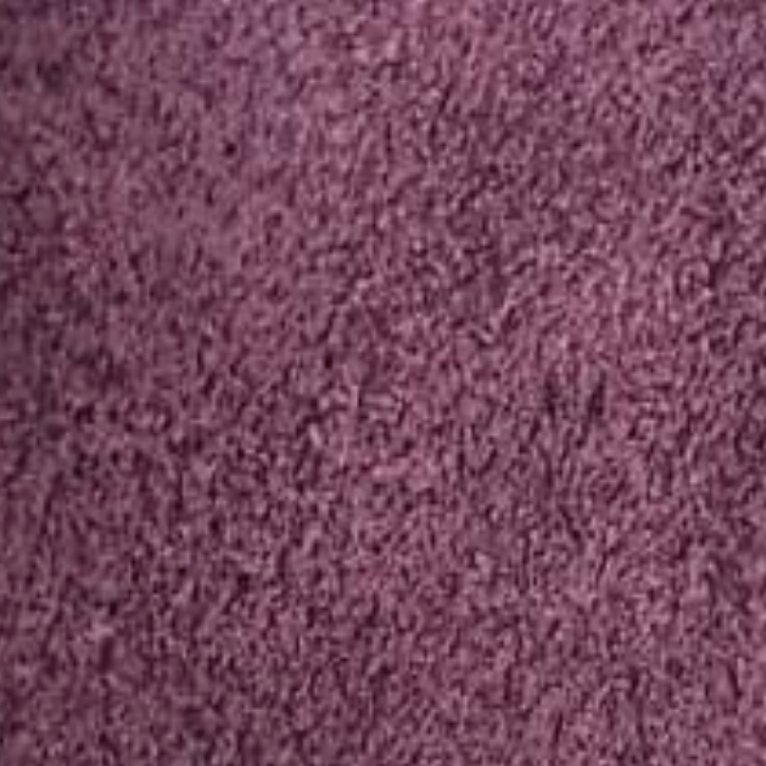Magenta Dupsa