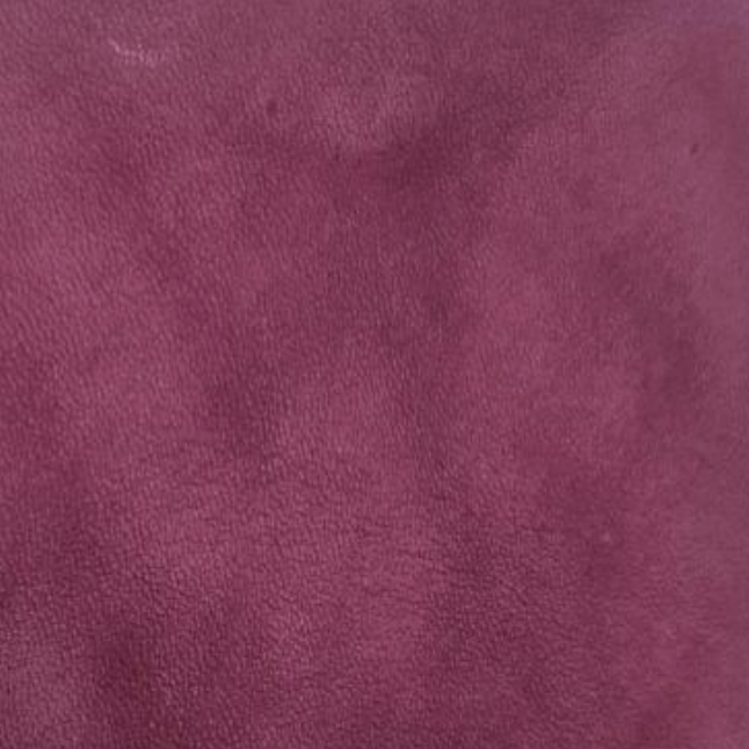 Magenta Dupsa